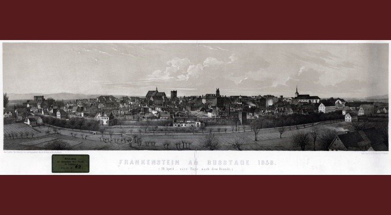 Panorama Ząbkowic Śląskich z 1858 r, po pożarze miasta